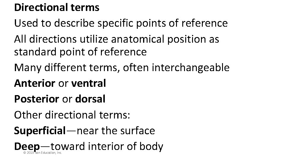 Directional terms Used to describe specific points of reference All directions utilize anatomical position