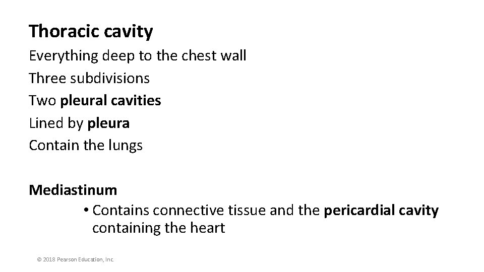 Thoracic cavity Everything deep to the chest wall Three subdivisions Two pleural cavities Lined