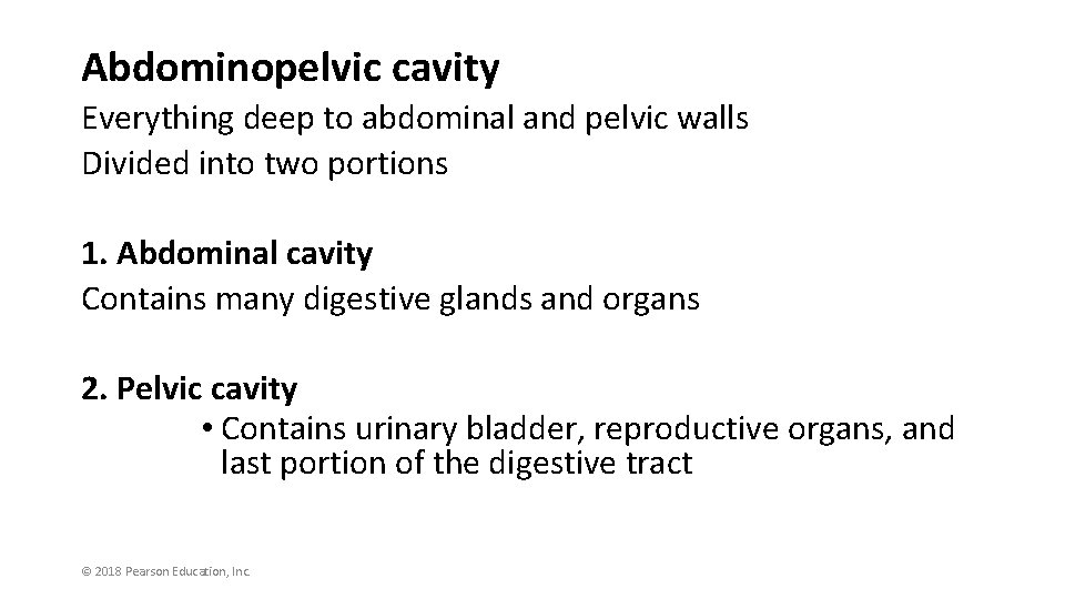 Abdominopelvic cavity Everything deep to abdominal and pelvic walls Divided into two portions 1.