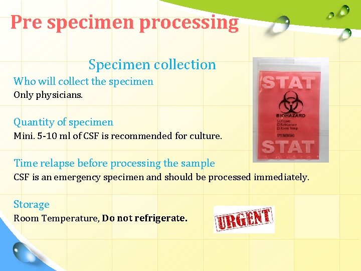 Pre specimen processing Specimen collection Who will collect the specimen Only physicians. Quantity of