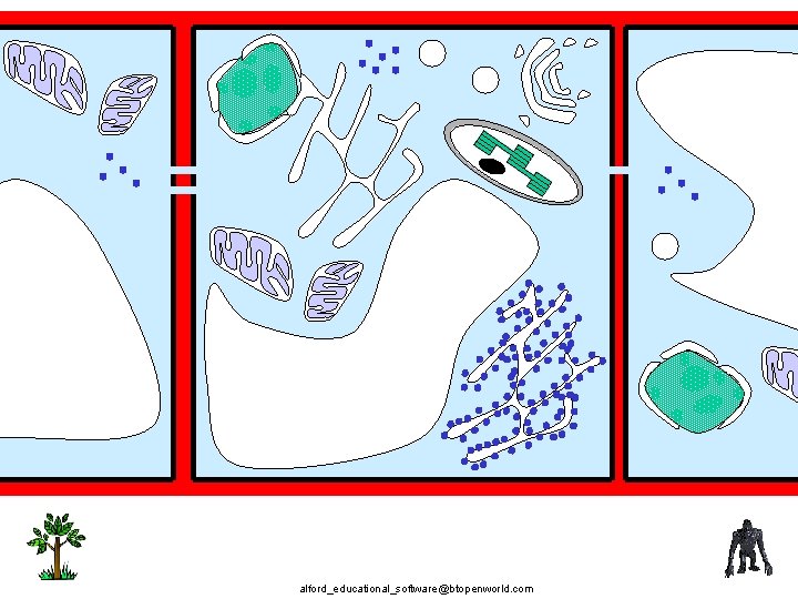 alford_educational_software@btopenworld. com 
