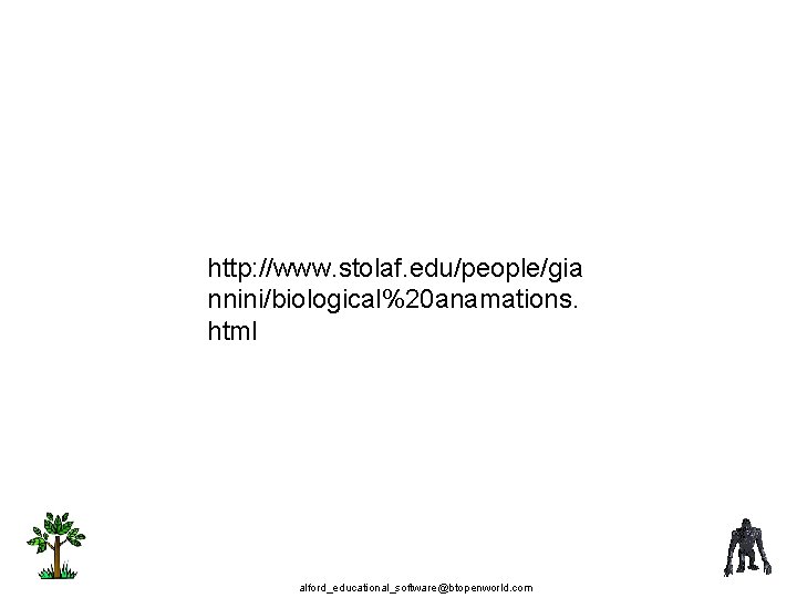 http: //www. stolaf. edu/people/gia nnini/biological%20 anamations. html alford_educational_software@btopenworld. com 