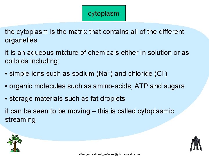cytoplasm the cytoplasm is the matrix that contains all of the different organelles it