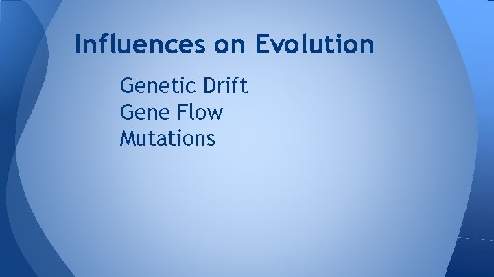 Influences on Evolution Genetic Drift Gene Flow Mutations 