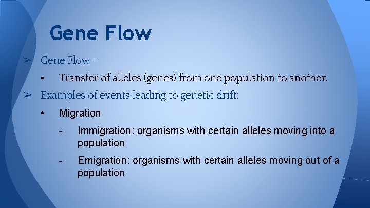 Gene Flow ➢ Gene Flow • Transfer of alleles (genes) from one population to