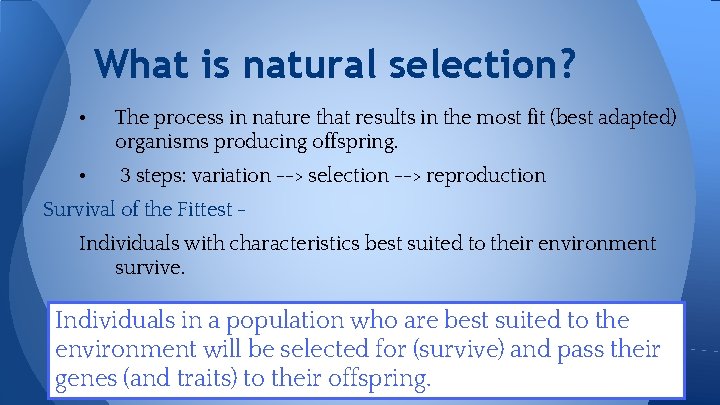 What is natural selection? • The process in nature that results in the most