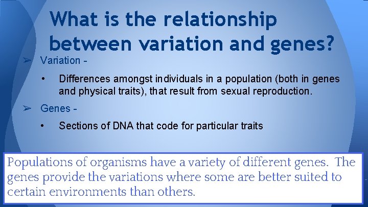What is the relationship between variation and genes? ➢ Variation • Differences amongst individuals