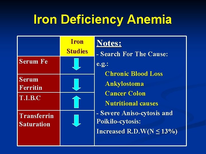 Iron Deficiency Anemia Iron Studies Serum Ferritin T. I. B. C Transferrin Saturation Notes: