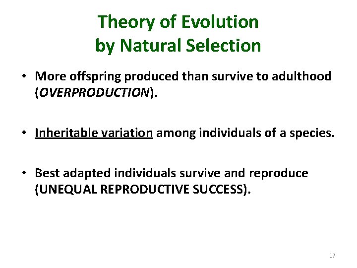 Theory of Evolution by Natural Selection • More offspring produced than survive to adulthood