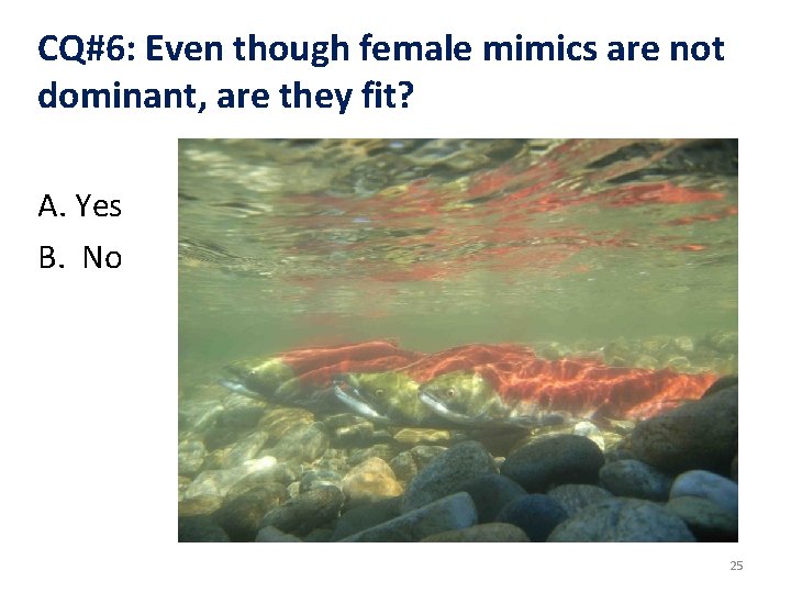 CQ#6: Even though female mimics are not dominant, are they fit? A. Yes B.