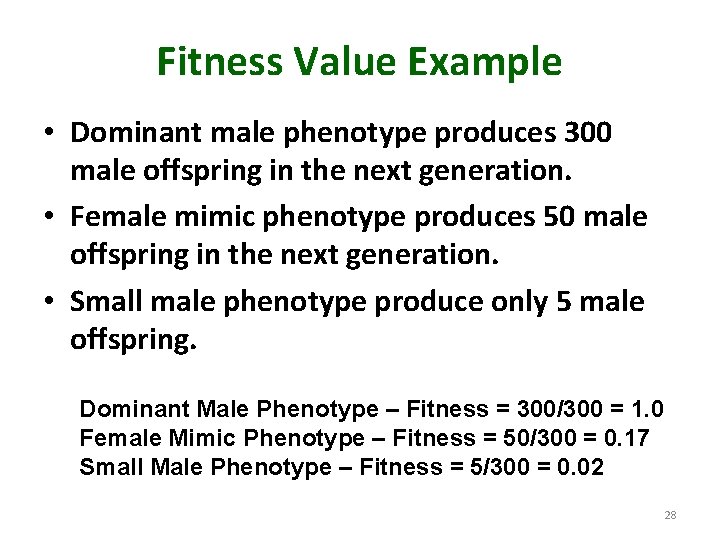 Fitness Value Example • Dominant male phenotype produces 300 male offspring in the next