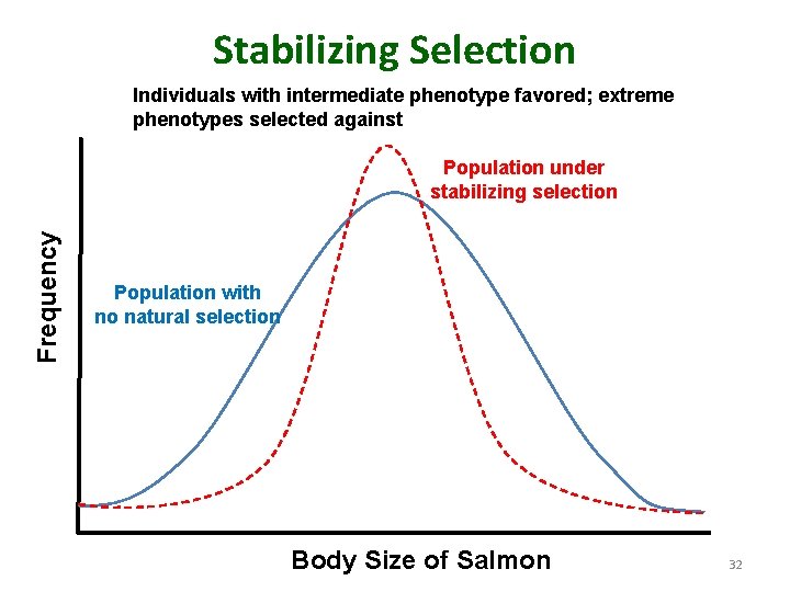 Stabilizing Selection Individuals with intermediate phenotype favored; extreme phenotypes selected against Frequency Population under
