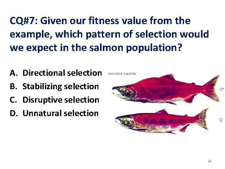 CQ#7: Given our fitness value from the example, which pattern of selection would we