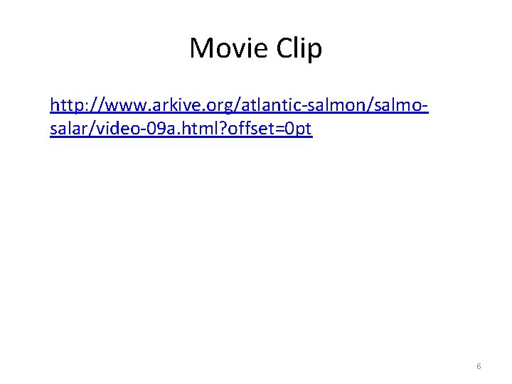 Movie Clip http: //www. arkive. org/atlantic-salmon/salmosalar/video-09 a. html? offset=0 pt 6 