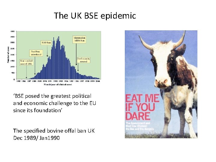 The UK BSE epidemic ‘BSE posed the greatest political and economic challenge to the