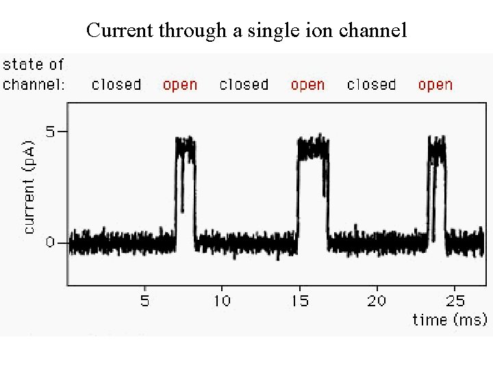 Current through a single ion channel 