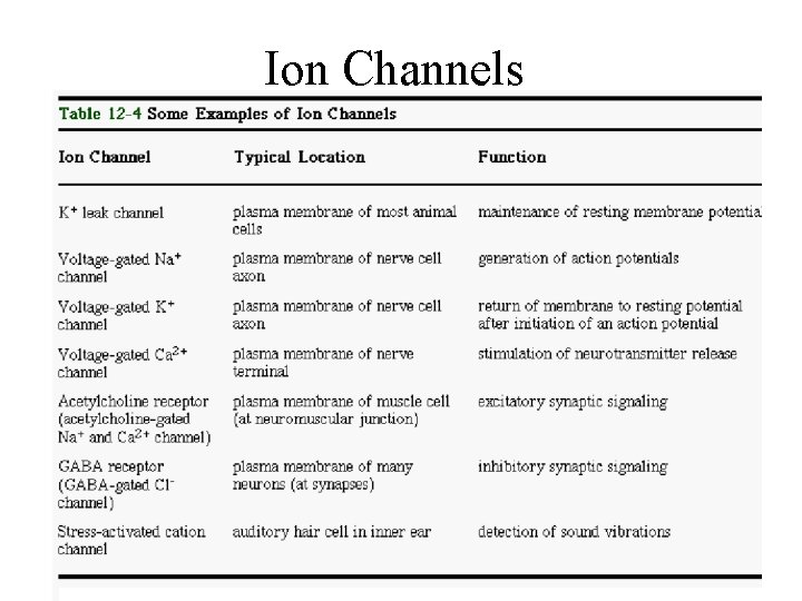 Ion Channels 