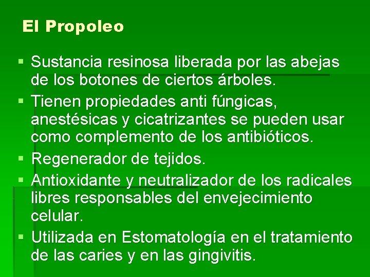 El Propoleo § Sustancia resinosa liberada por las abejas de los botones de ciertos