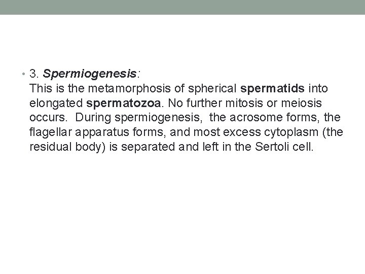  • 3. Spermiogenesis: This is the metamorphosis of spherical spermatids into elongated spermatozoa.
