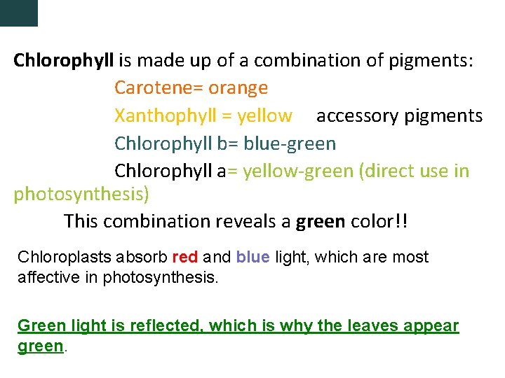 Chlorophyll is made up of a combination of pigments: Carotene= orange Xanthophyll = yellow