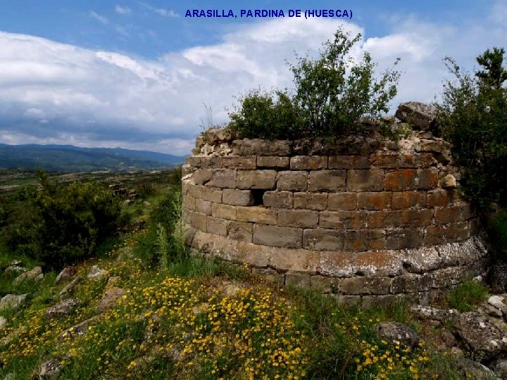 ARASILLA, PARDINA DE (HUESCA) 