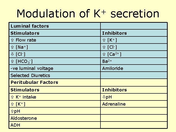 Modulation of K+ secretion Luminal factors Stimulators Inhibitors Flow rate [K+] [Na+] [Cl-] [Ca