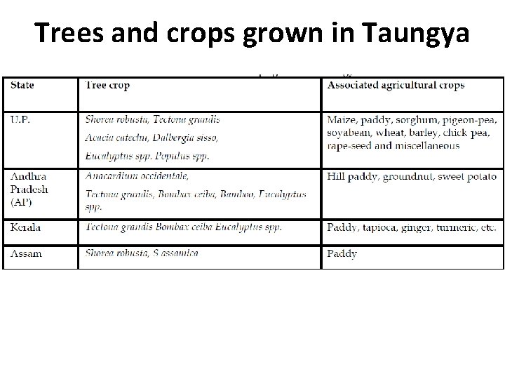 Trees and crops grown in Taungya 