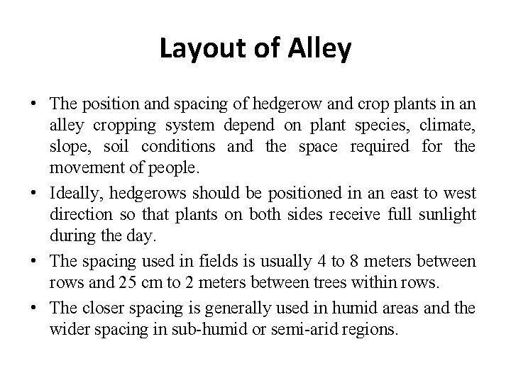 Layout of Alley • The position and spacing of hedgerow and crop plants in