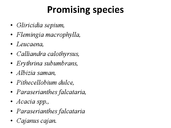 Promising species • • • Gliricidia sepium, Flemingia macrophylla, Leucaena, Calliandra calothyrsus, Erythrina subumbrans, Promising species • • • Gliricidia sepium, Flemingia macrophylla, Leucaena, Calliandra calothyrsus, Erythrina subumbrans,