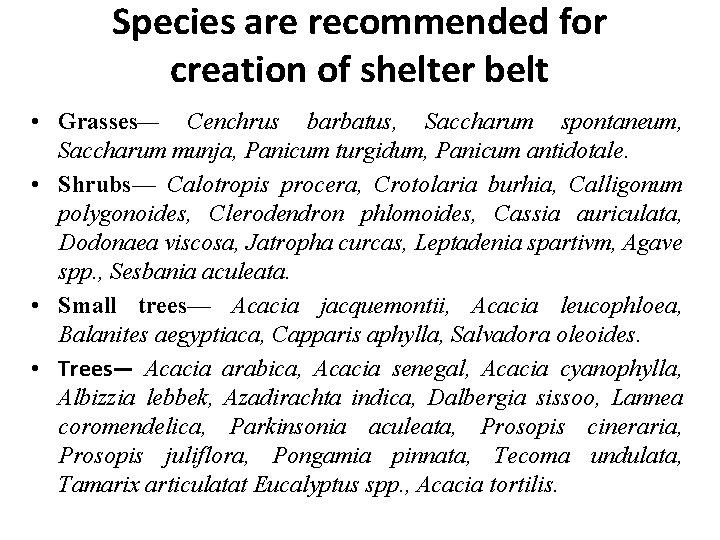 Species are recommended for creation of shelter belt • Grasses— Cenchrus barbatus, Saccharum spontaneum,