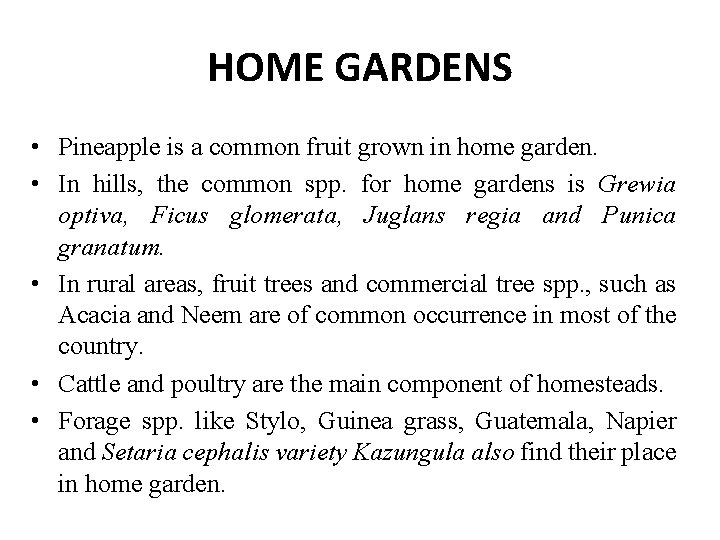 HOME GARDENS • Pineapple is a common fruit grown in home garden. • In