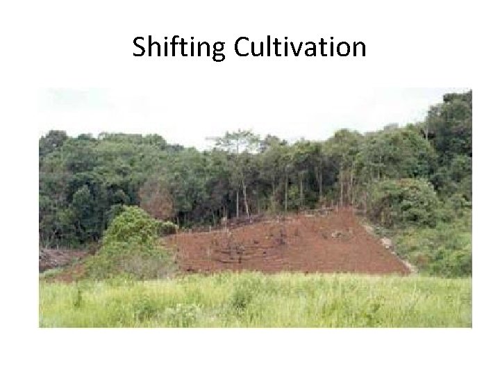 Shifting Cultivation Shifting Cultivation