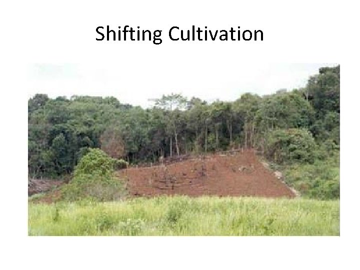 Shifting Cultivation 