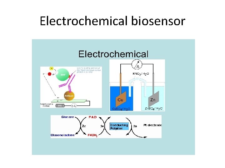 Electrochemical biosensor Electrochemical biosensor