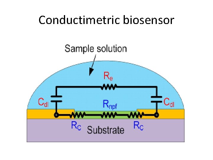 Conductimetric biosensor Conductimetric biosensor