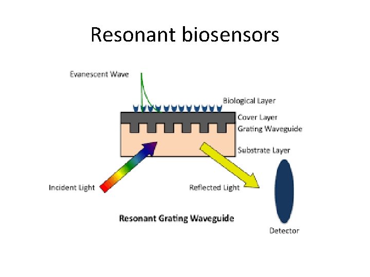 Resonant biosensors Resonant biosensors