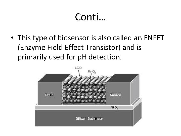 Conti… • This type of biosensor is also called an ENFET (Enzyme Field Effect