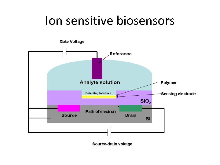 Ion sensitive biosensors Ion sensitive biosensors