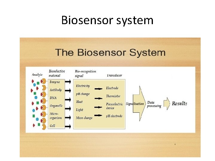 Biosensor system Biosensor system