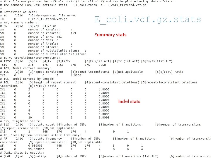 E_coli. vcf. gz. stats Summary stats Indel stats 