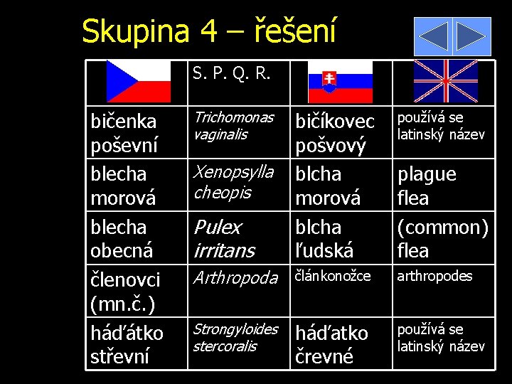 Skupina 4 – řešení S. P. Q. R. bičenka poševní blecha morová blecha obecná