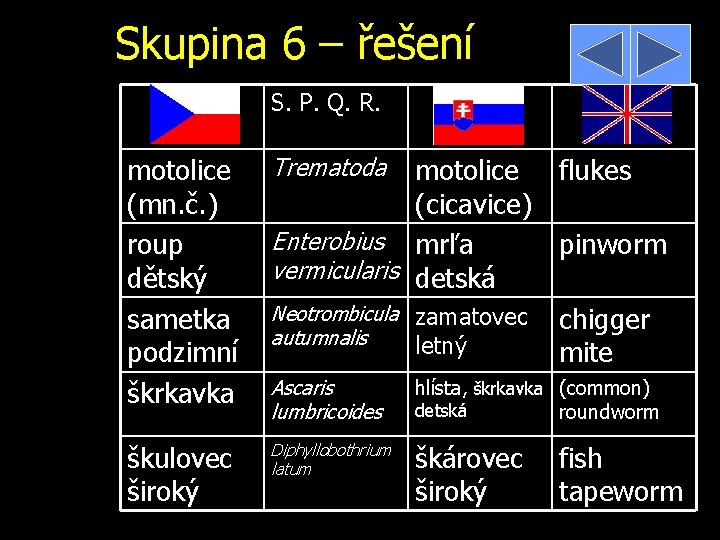 Skupina 6 – řešení S. P. Q. R. motolice (mn. č. ) roup dětský