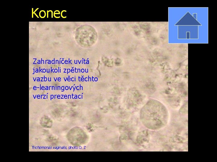Konec Zahradníček uvítá jakoukoli zpětnou vazbu ve věci těchto e-learningových verzí prezentací Trichomonas vaginalis,
