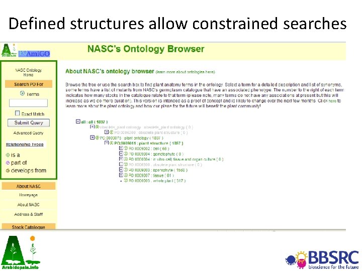 Defined structures allow constrained searches 