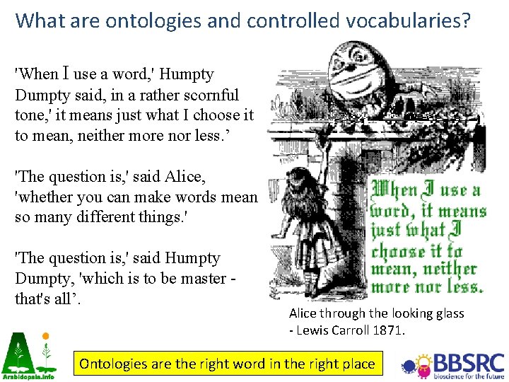 What are ontologies and controlled vocabularies? 'When I use a word, ' Humpty Dumpty