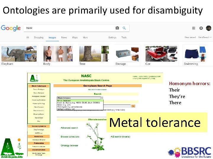 Ontologies are primarily used for disambiguity Homonym horrors: Their They’re There Metal tolerance 