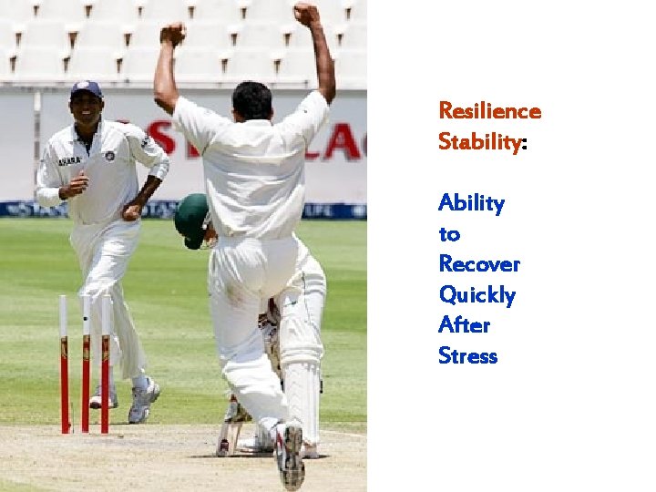Resilience Stability: Ability to Recover Quickly After Stress 