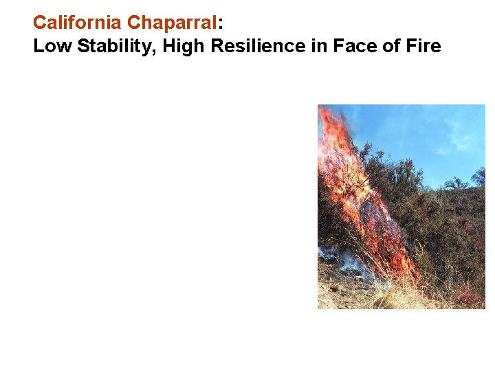 California Chaparral: Low Stability, High Resilience in Face of Fire 