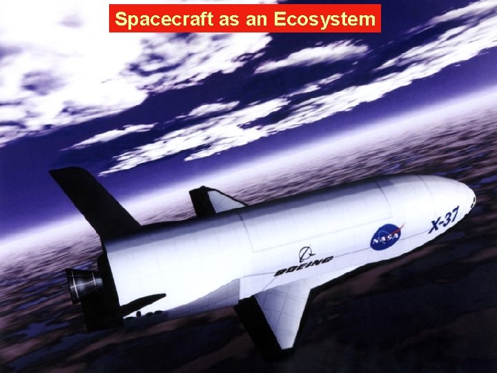 Spacecraft as an Ecosystem 