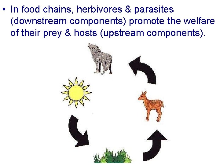  • In food chains, herbivores & parasites (downstream components) promote the welfare of